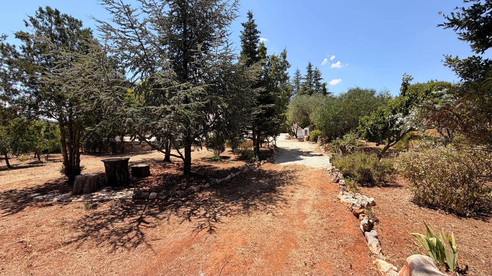 Trulli Comunicanti, Restaurati con Antico Camino, Ulivi Secolari.